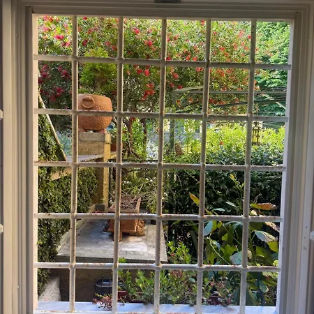 Le Volte Bed & Breakfast Seravezza